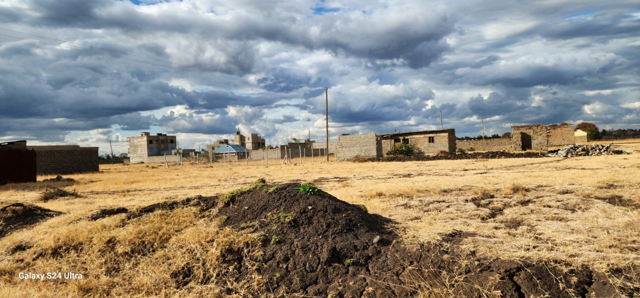Where dreams come true — Mwanchu Empire