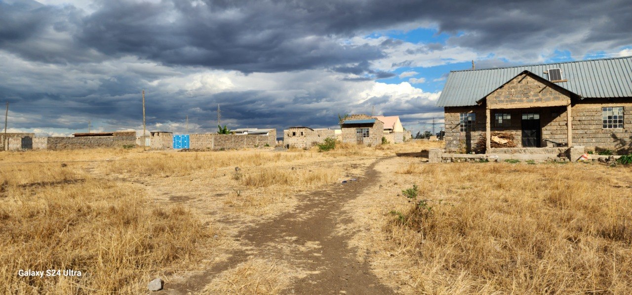 Graded internal roads across the estate